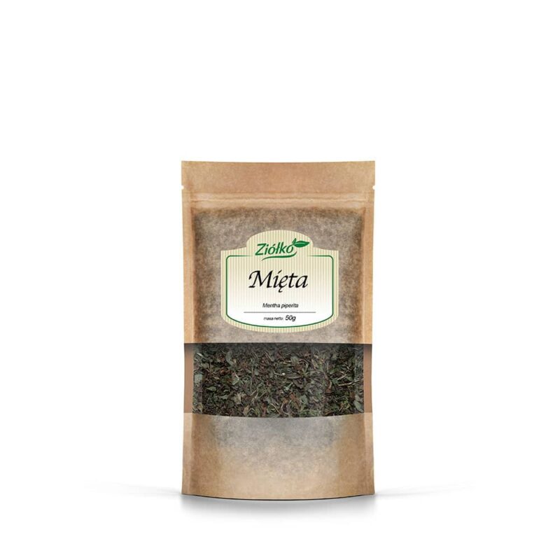 Mięta